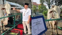 peternak-dari-Desa-Bluri-Kecamatan-Solokuro